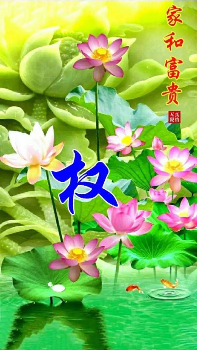 中老年头像大全:荷塘月色等风景系列手机壁纸,赶紧抱