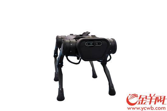 小鼠|酷炫新科技创交会“出道” “人源化小鼠” 云上参会