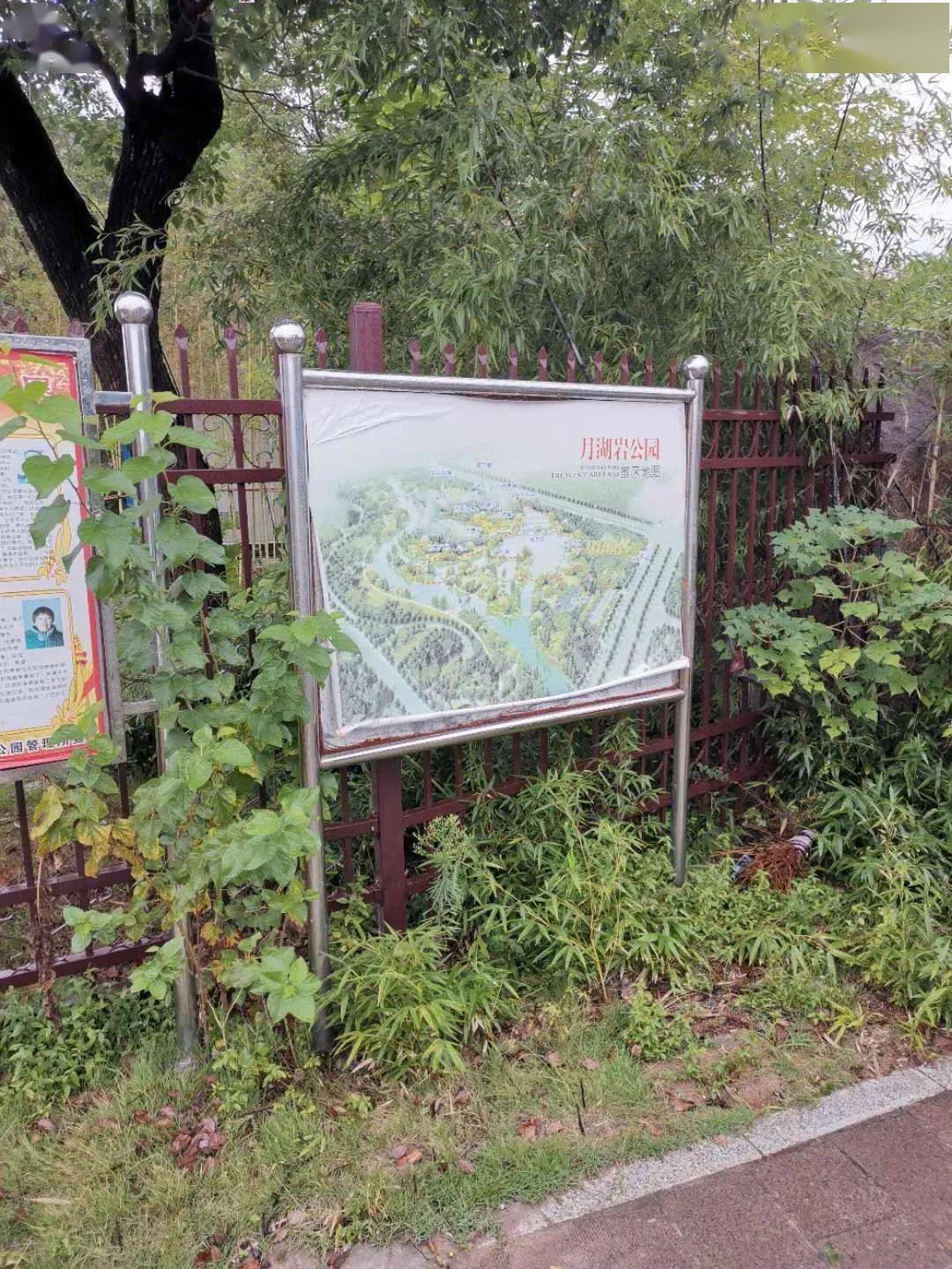 鹰潭白露街道GDP_白露节气图片