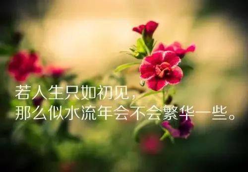 适合发朋友圈的一句话心情说说语 非常走心的句子