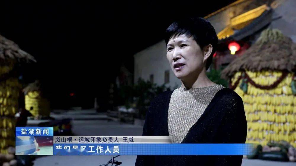 岚山根·运城印象负责人 王岚