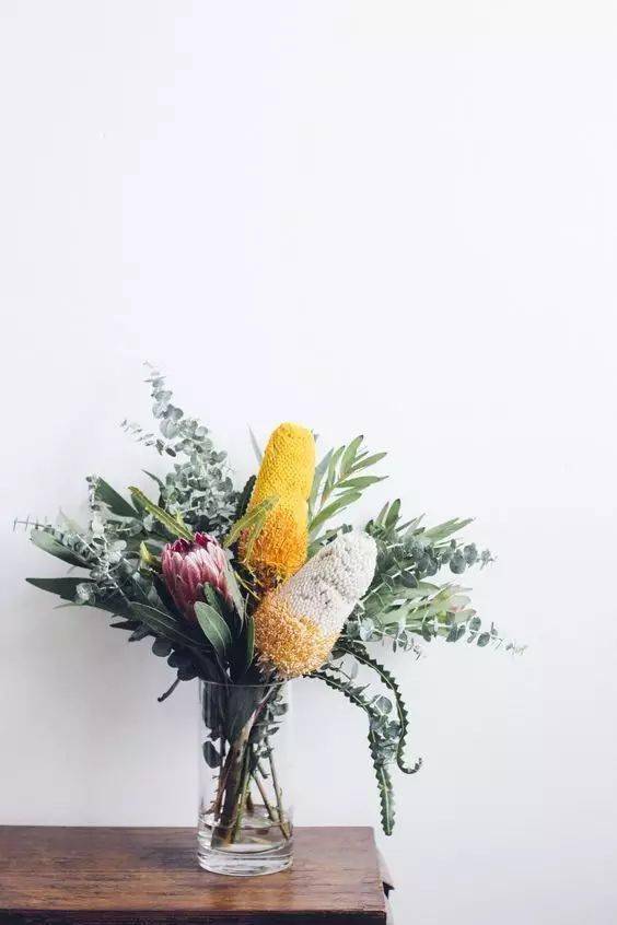 植物|花艺界的10大 · 傲娇植物，好看！