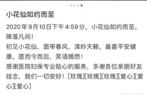 张纪中妻子霸气回怼网友：燕雀安知鸿鹄之志