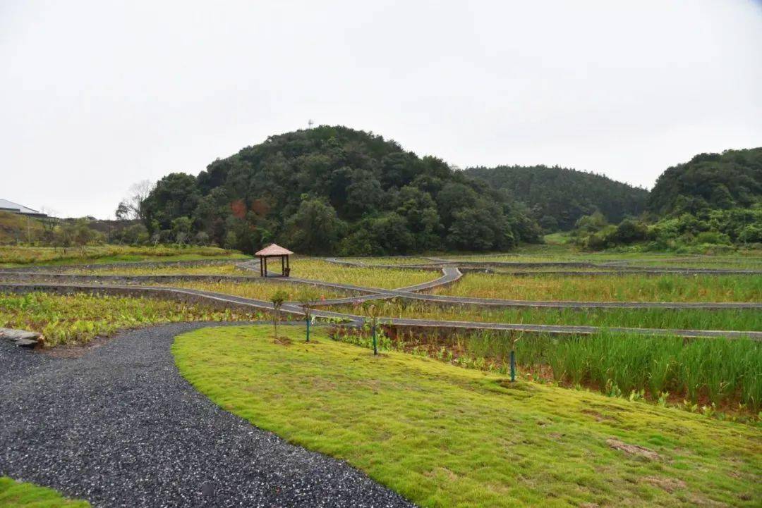 85公顷  由于地势起伏明显  公园建设将梯田景观概念引入其中  顺势在