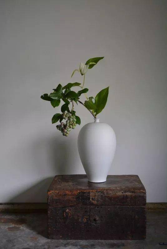 禅意插花 · 100例,此花不在你心外
