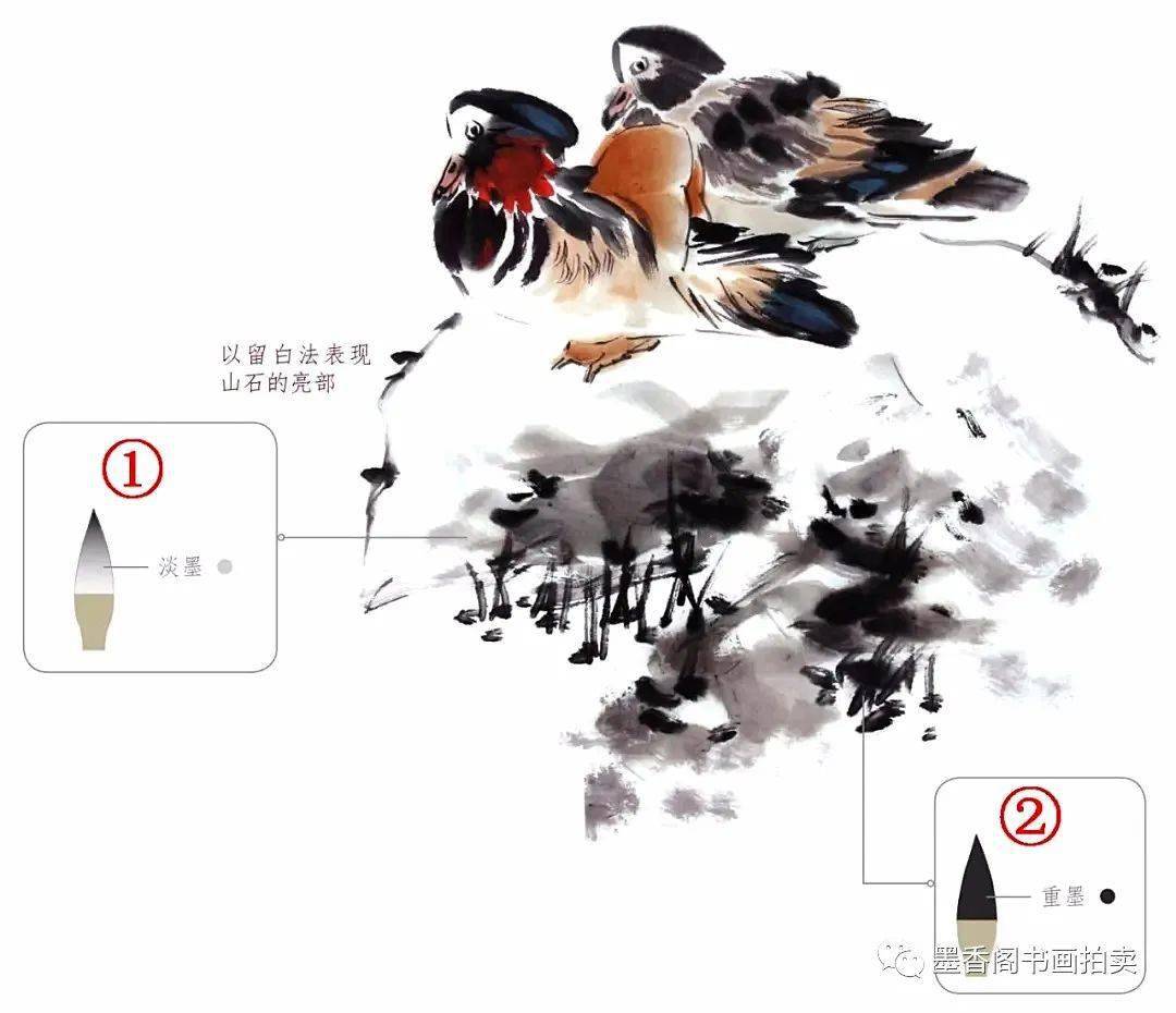 国画教程:一学就会画荷花鸳鸯图