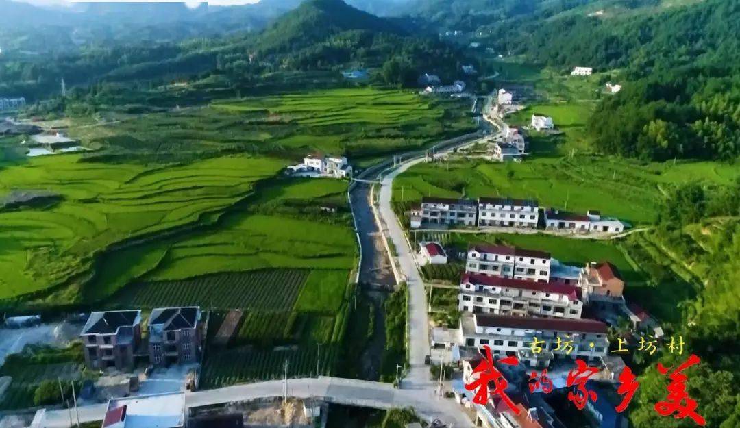 古坊乡人口_岳西古坊乡王松林