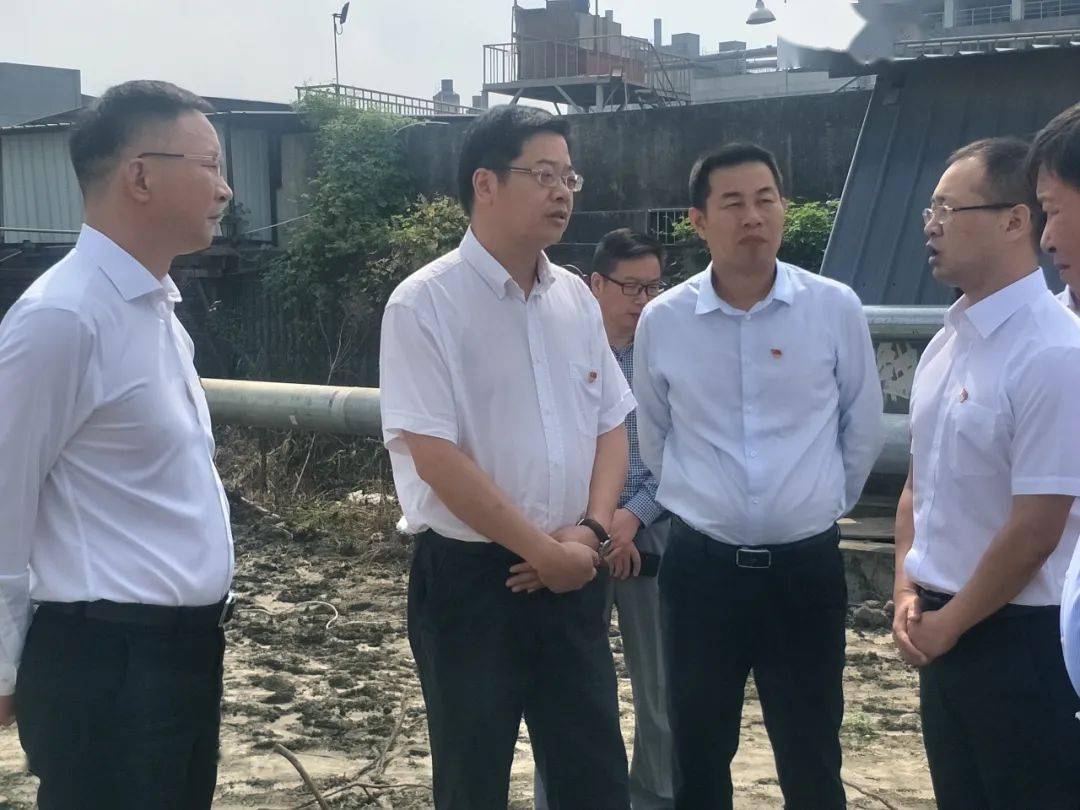 嘉兴市委常委,市纪委书记,市监委主任张建明赴海宁市许村镇调研指导