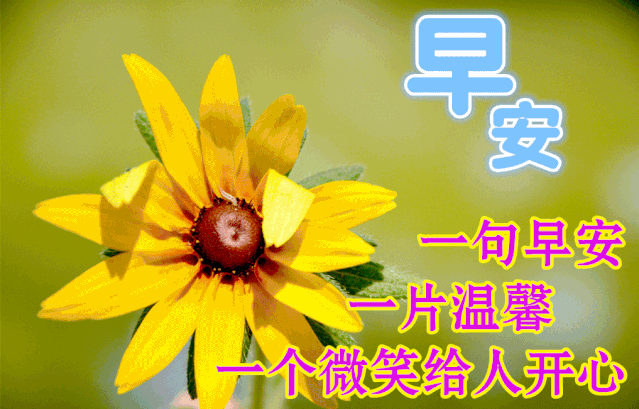 6966eee45b414e21a3abbc5086cd6458.png