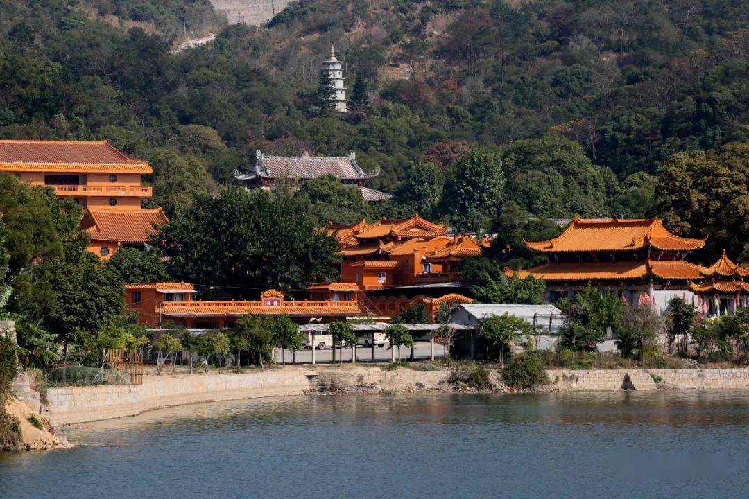 厉害了,金浦湿地公园被推选为潮阳区文旅精品线路!