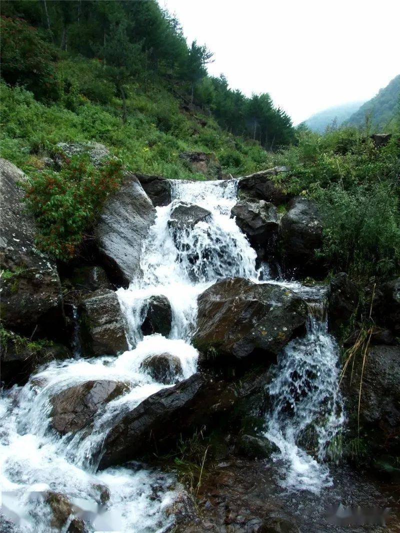 庄浪| 雨中陈家洞