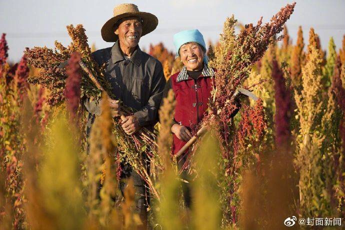 交易额|745个亿元淘宝村有你家吗 网友：谢邀，在搬家了