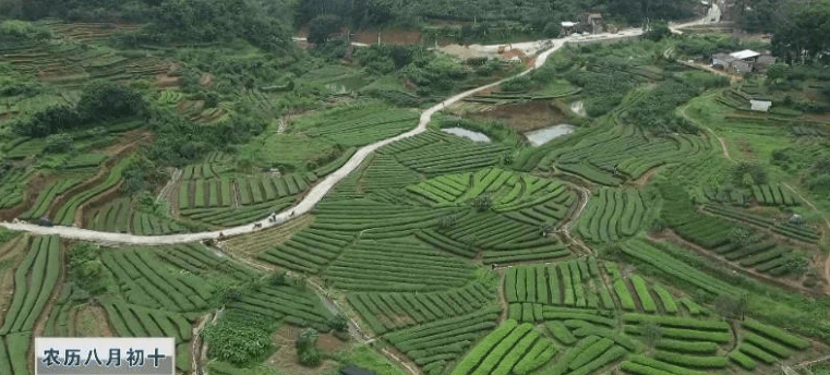 云霄县荷步多少人口_云霄县医院图片