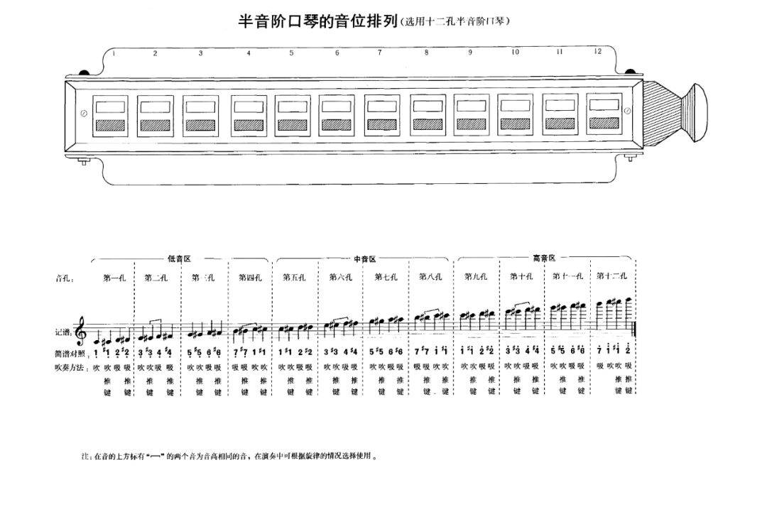 从零起步学口琴简谱_口琴基础乐理学会认识简谱(2)