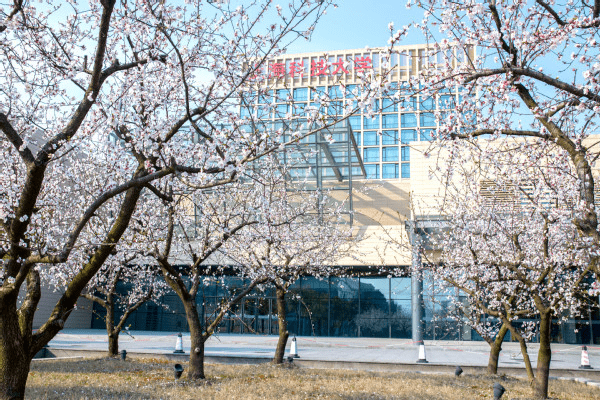 发展|有些实力不输985这10所广受欢迎的年轻高校发展迅猛