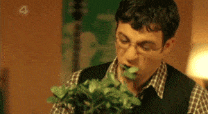 2d67df4ff8714d93be5d8b70e02eb924.gif