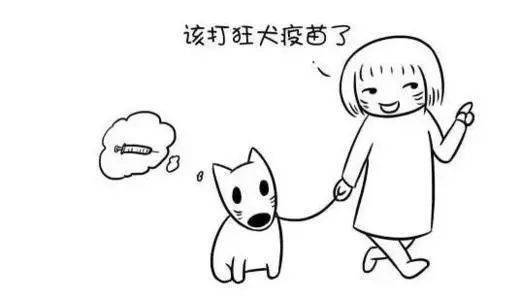 刚打完狂犬育苗又被狗咬怎么办