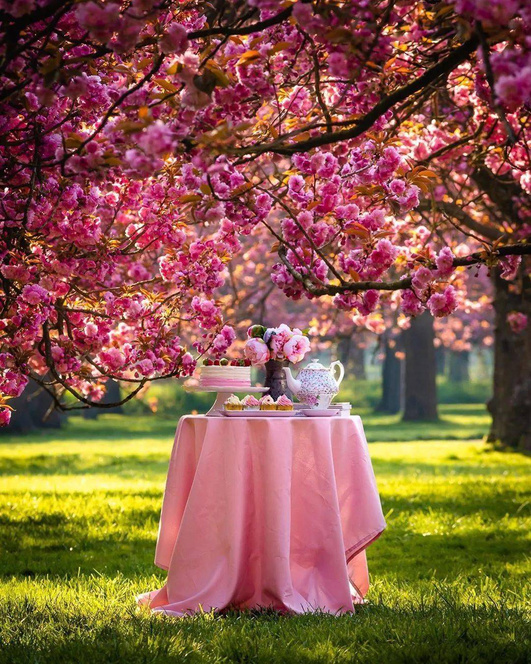 食物|那些明星同款野餐照片，原来是这样拍出来的