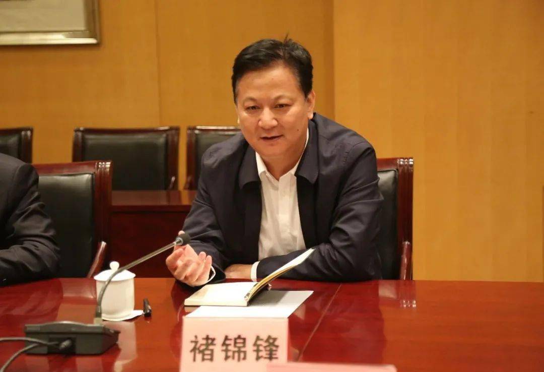 集团老总褚