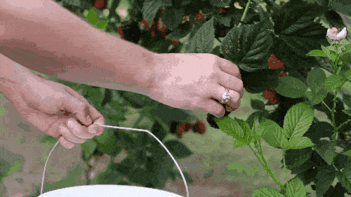 香水|一喷就斩男的祖马龙香水礼盒，一整套竟然才100出头？！