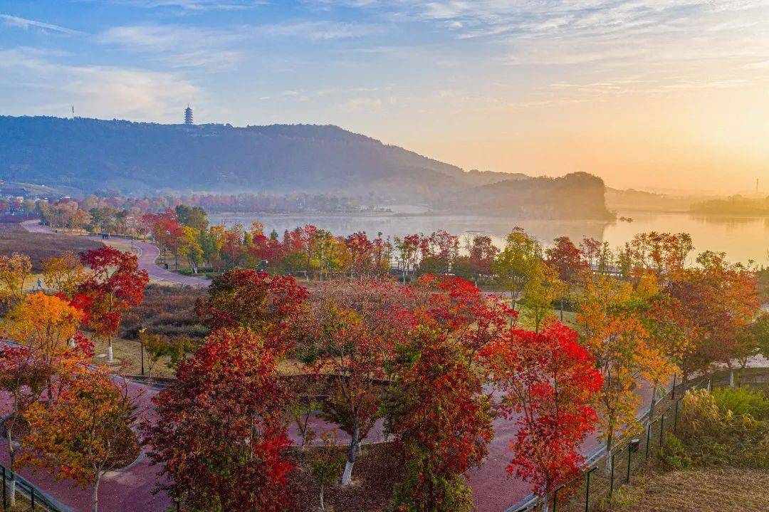 张家港gdp2020_张家港晶台光电车间图