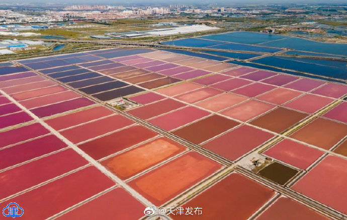 京津冀首家盐业风情游览区在津建成 来"七彩盐田"感受"网红"海盐产地