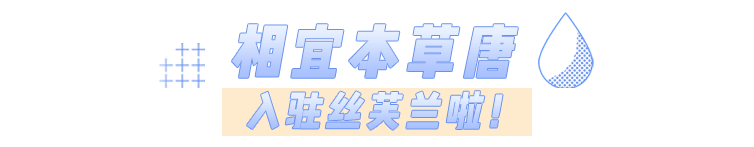 系列|男朋友是王嘉尔，是一种什么样的体验？