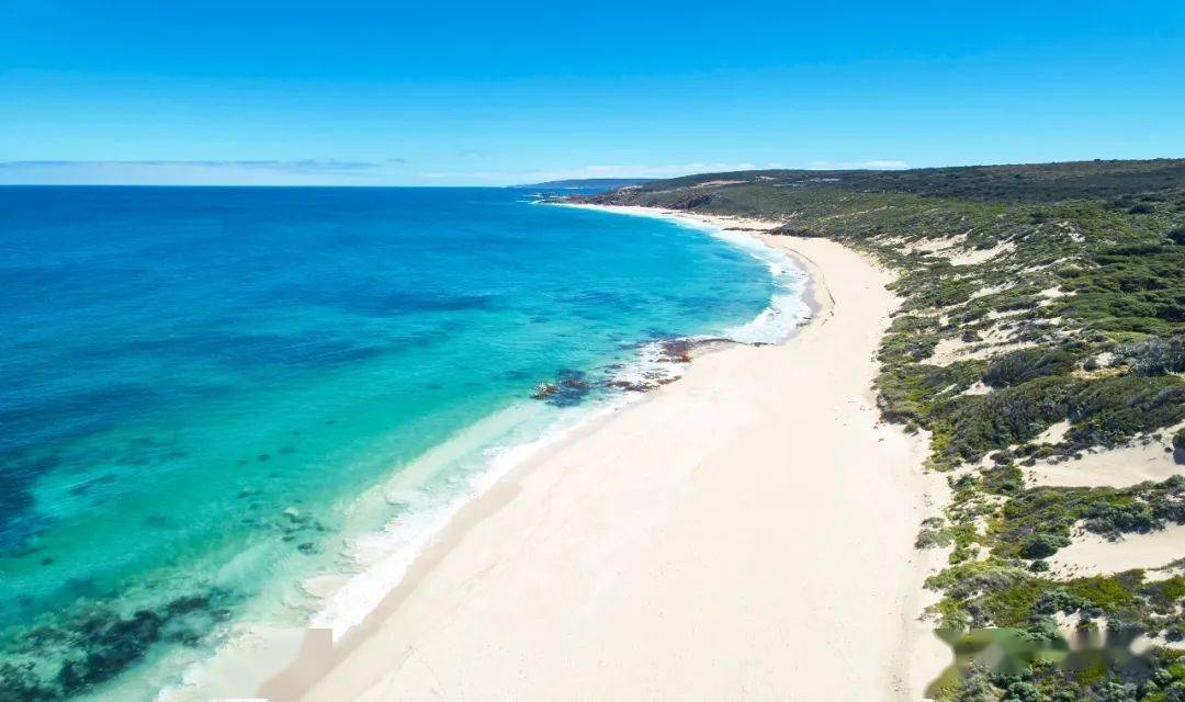 设拉子|这世上没有什么是一顿烧烤不能解决的……