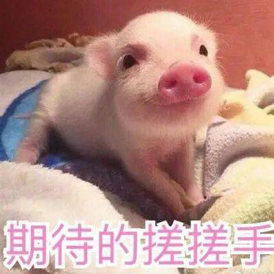 月球|妈妈喊你穿秋裤啦！寿阳：猛降10℃！中雨+小雨连下3天！！这个国庆假期冷冷冷