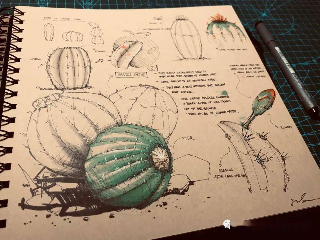 来稿丨一组出口转内销的球鞋训练稿_IM电竞官网(图14)
来稿丨一组出口转内销的球鞋训练稿_IM电竞官网(图14)