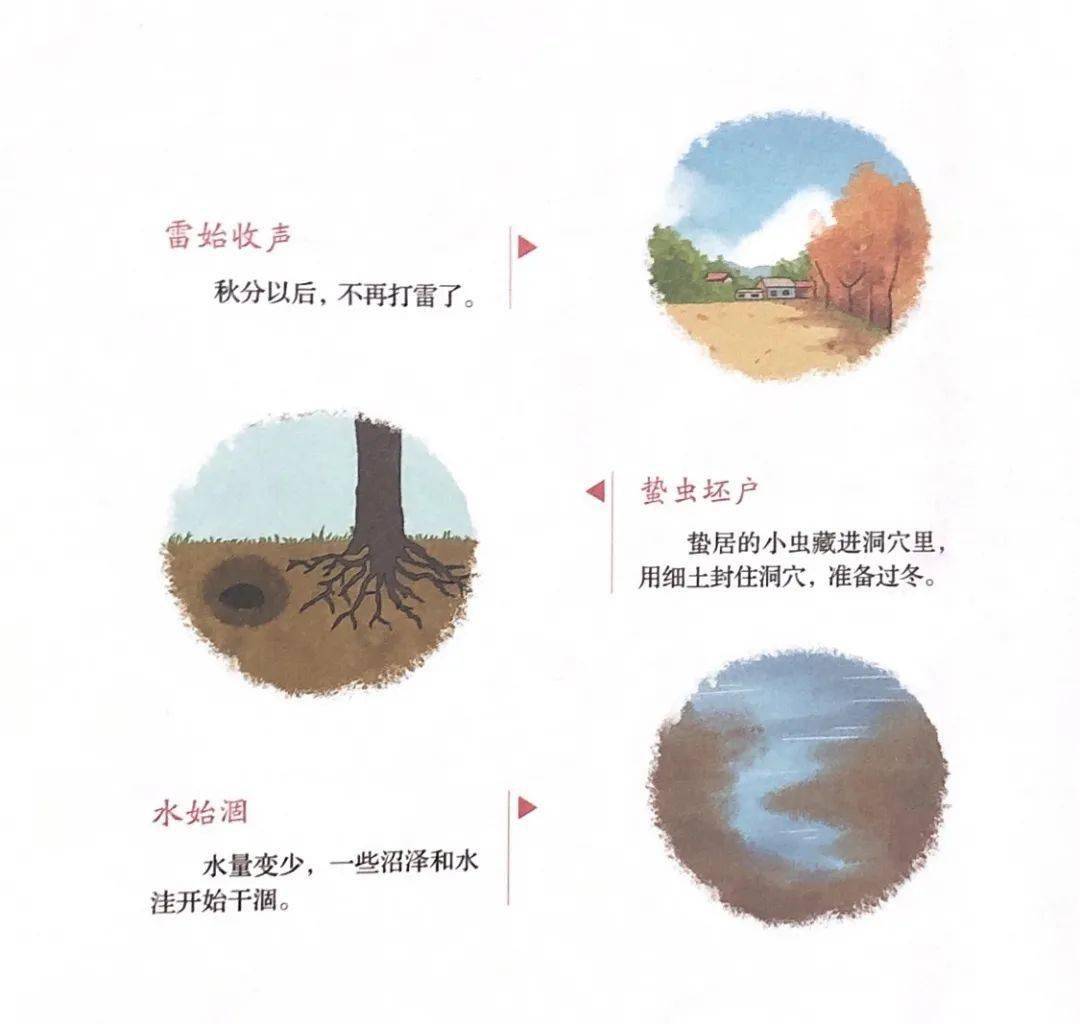 什么若寒蝉的成语_成语故事简笔画(2)