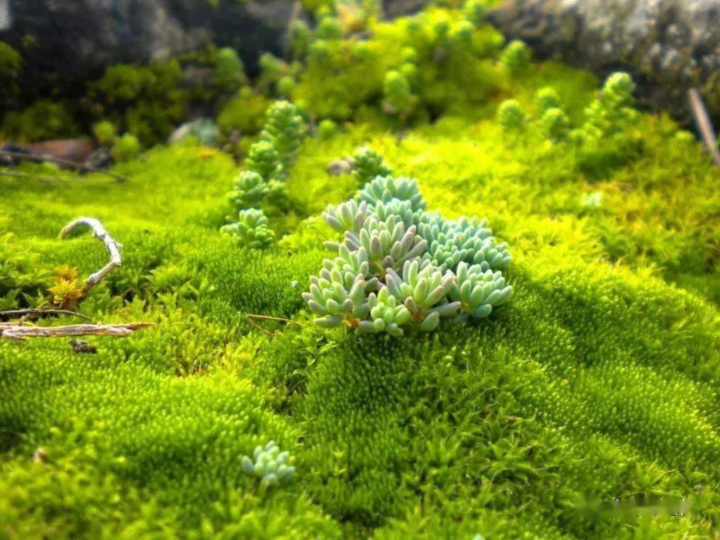 844b892aff024709912c4d2265a6cd32.jpeg