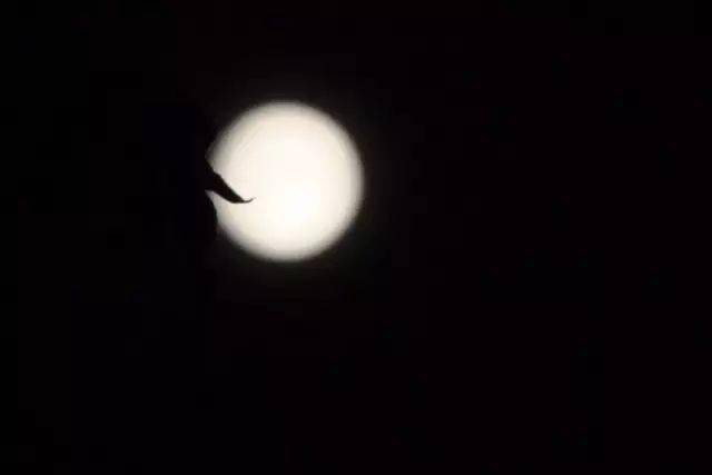 b92800007e8f43a4a8486193566b3ef3.jpeg
