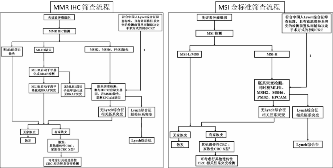 陈功教授:mmr基因胚系检测是诊断林奇综合征的"金标准