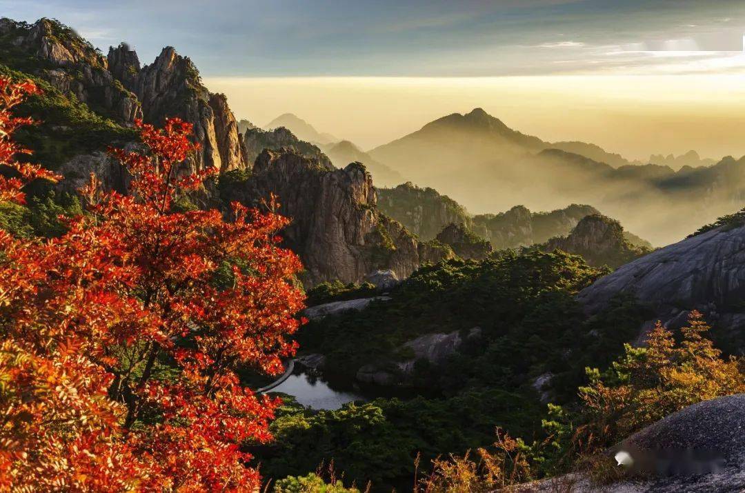 黄金周第二天: 黄山景区秋景如画,交通顺畅,停车有序