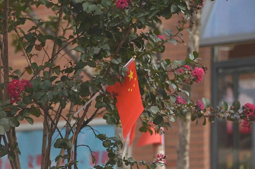 【国庆节】我骄傲,我是中国人