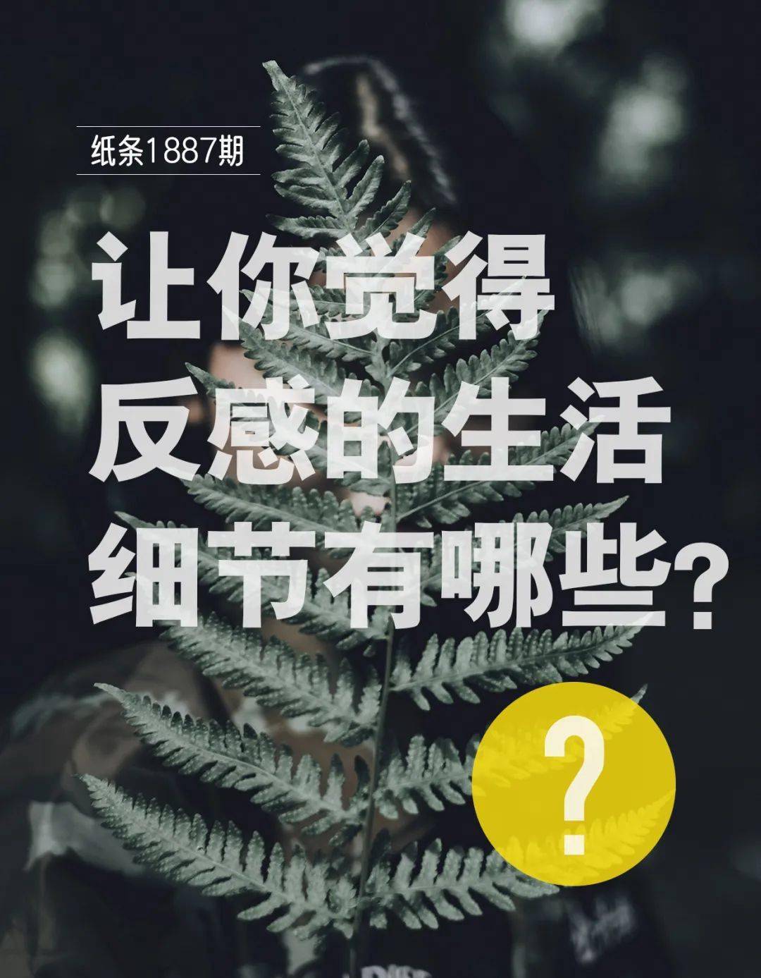 796ffba9a9b74ab48589964b93a4b2af.jpeg