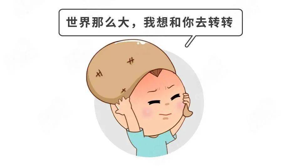 宝宝|假期必备