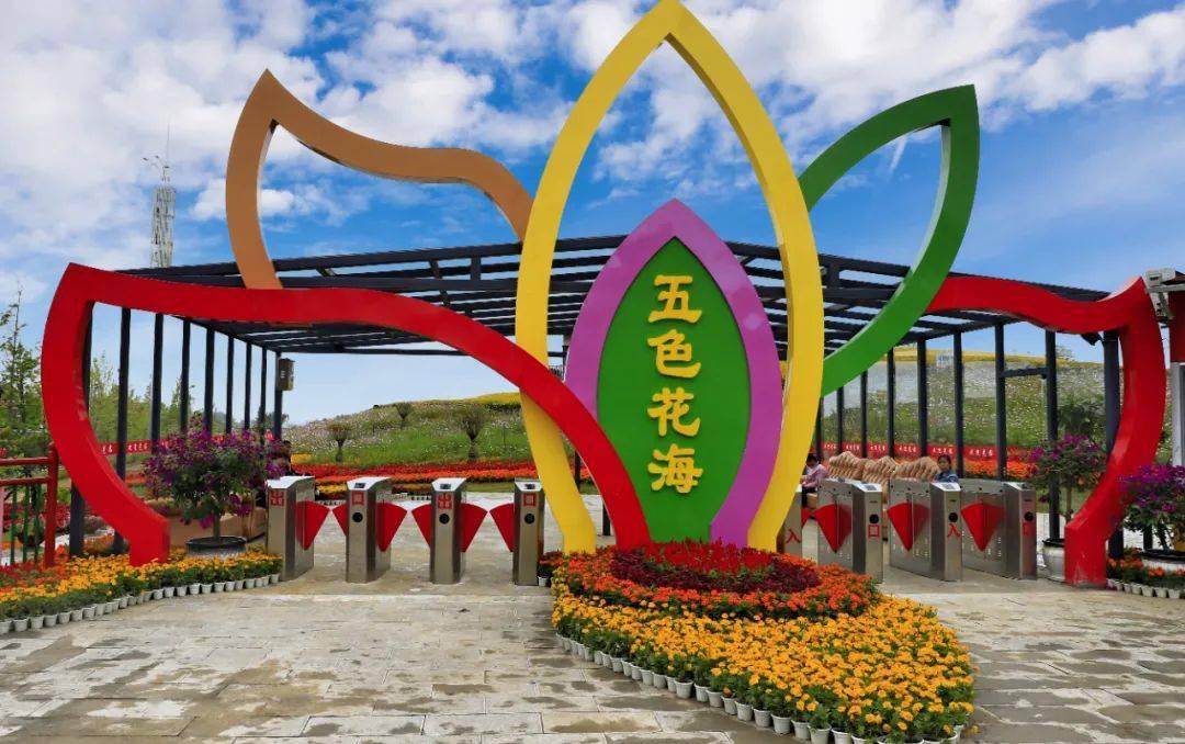 十月五色花海再次绽放,花海游弋只为等你_手机搜狐网