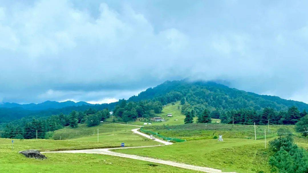 【行摄云南】昌宁高山草甸:羊群和放羊人的天堂