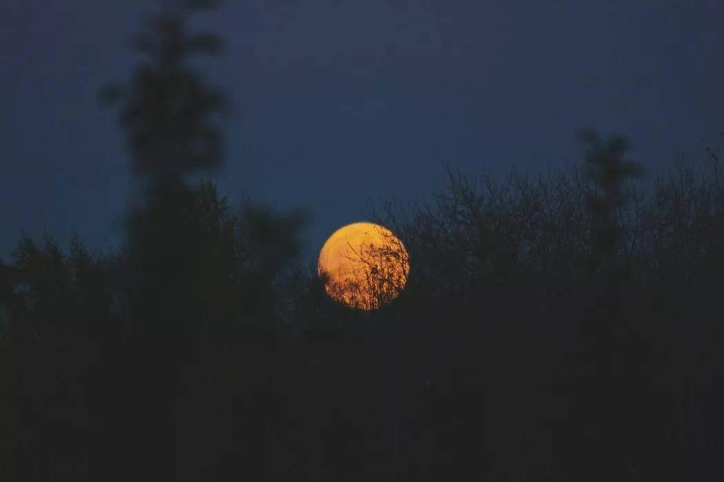 1f3357a9eea7456ab6ad3bc632c86cf3.jpeg