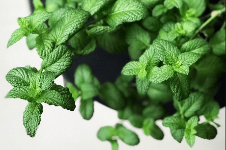 丈夫|秋天第一场失恋来了！原来石原里美撩到丈夫靠这个