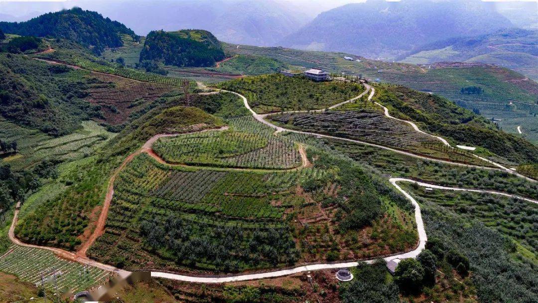 桐梓gdp_贵州桐梓最美警花走红(2)