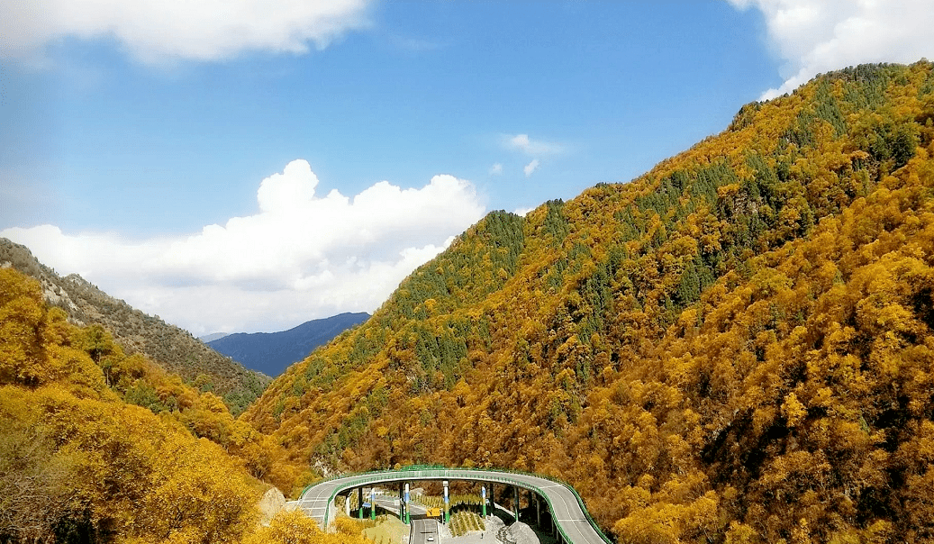 扎碾公路大家可以乘着国庆长假游览一番特别是这些公路青海各地秋景美