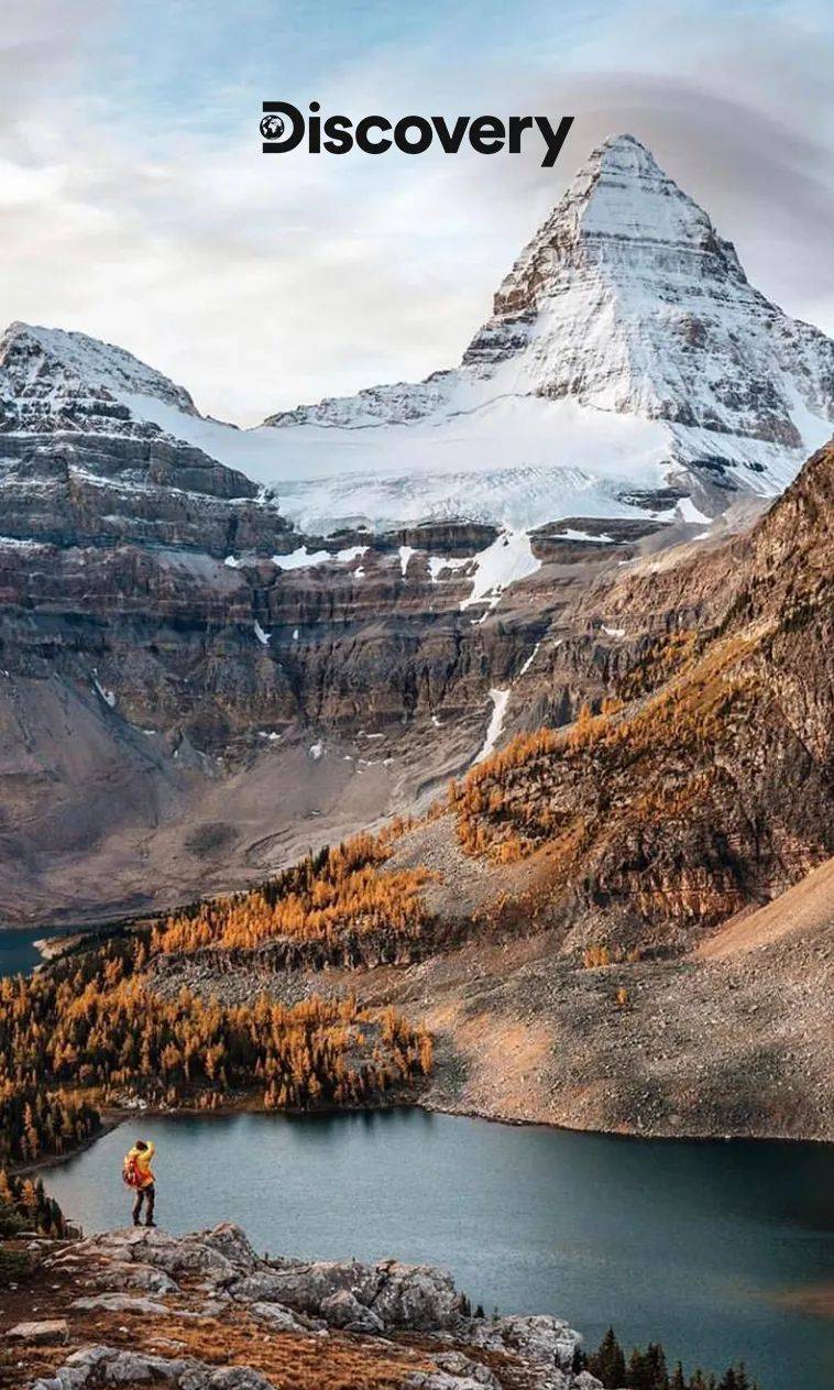 壁纸|请收下秋天的第一波美图