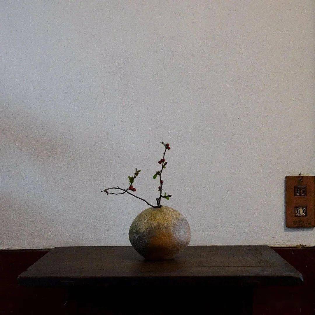 禅意插花 · 100例,此花不在你心外
