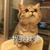 衣服|值得买丨秋装百搭冠军来了！从此上班前不必在衣柜前犯难！