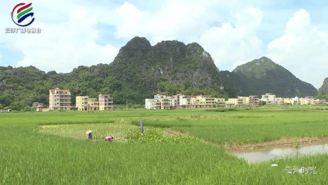 罗定市苹塘镇良官村入选2020年中国美丽休闲乡村