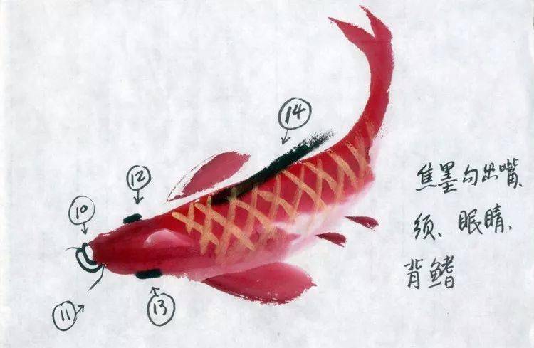 写意红鲤鱼的画法,富裕好运气!
