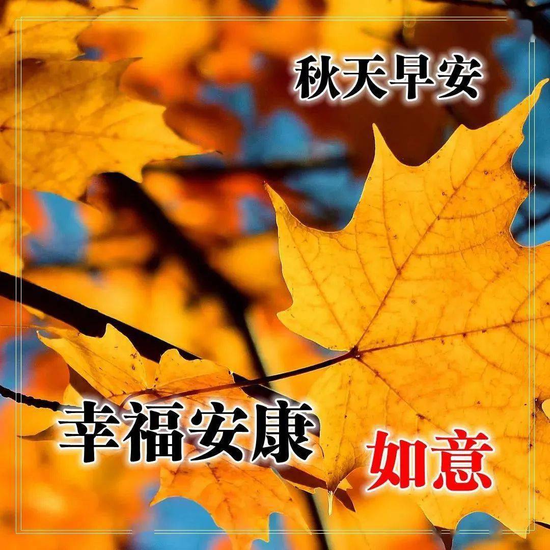 7张秋日最美枫叶早安图片带字带祝福语 10月最暖心的秋天早上好问候